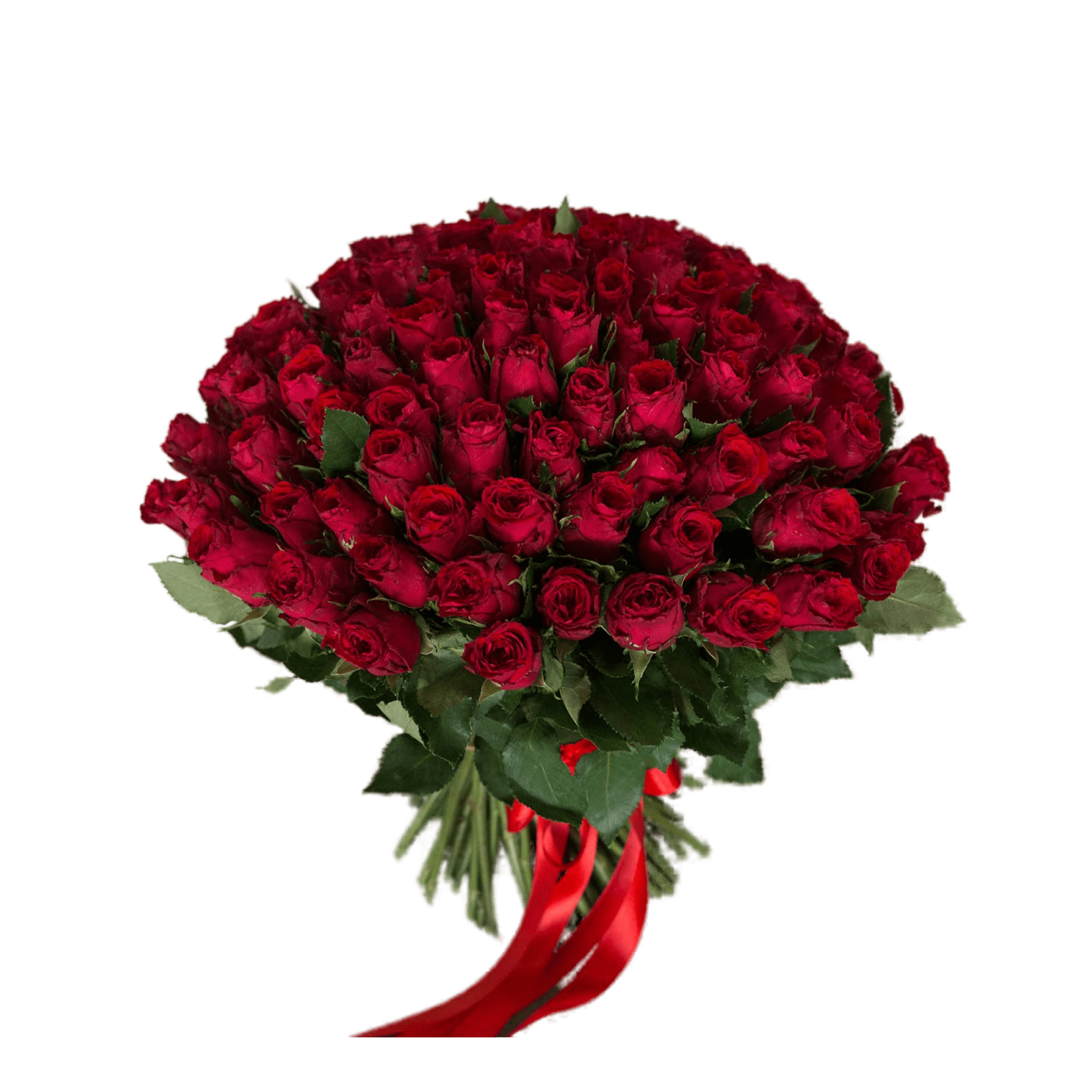 Ecuador Red